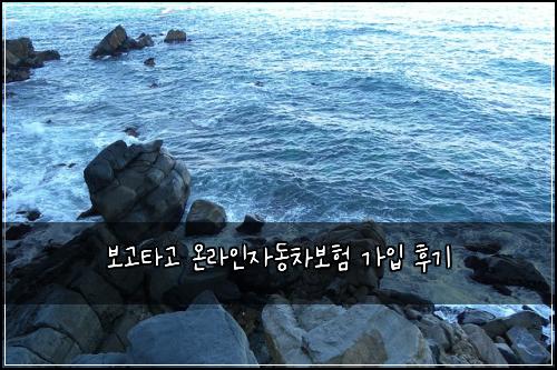 보고타고 온라인자동차보험 가입 후기