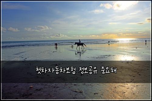 ์ฒซ์ฐจ์๋์ฐจ๋ณดํ ์ ๋ณด๊ณต์ ์ค์ํด