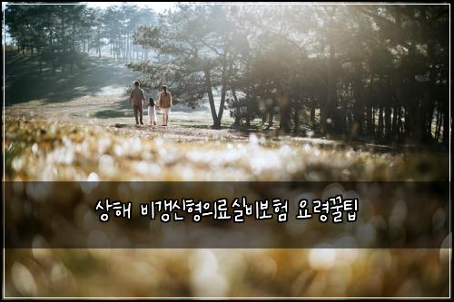 상해 비갱신형의료실비보험 요령꿀팁 