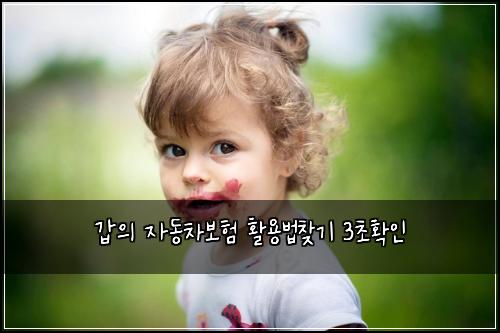 ๊ฐ์ ์๋์ฐจ๋ณดํ ํ์ฉ๋ฒ์ฐพ๊ธฐ 3์ดํ์ธ