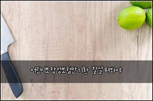 ์ด๋ฆฐ์ด๋ณด์ฅ์ฑ๋ณดํ๋ง๊ธฐํ ์์ดํด๋ด์ผ