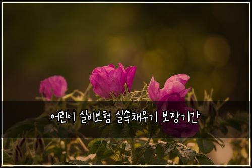 ์ด๋ฆฐ์ด ์ค๋น๋ณดํ ์ค์์ฑ์ฐ๊ธฐ ๋ณด์ฅ๊ธฐ๊ฐ