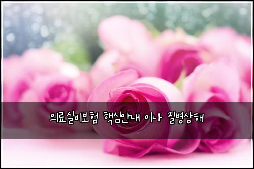 의료실비보험 핵심안내  이나 질병상해