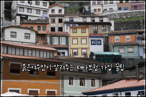 붉은여우맘이 알려주는 태아보험 가입 꿀팁