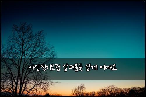 ์ฌ๋ง์ ๊ธฐ๋ณดํ ์ดํด๋ณผ๊ณณ ์ค๊ณ ์ด๋์