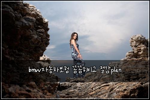 bmw์๋์ฐจ๋ณดํ ๊ผผ๊ผผํ๋น๊ต ์ ๊ฐplan