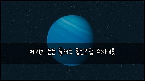 메리츠 든든 플러스 종신보험 주의내용 