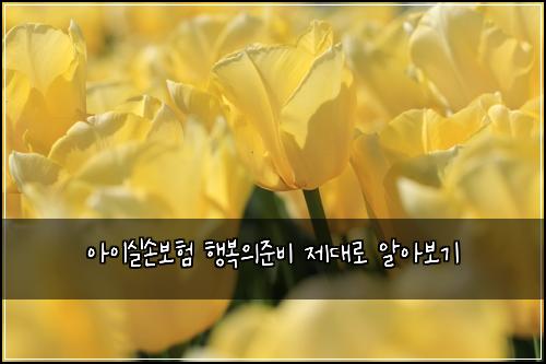 아이실손보험 행복의준비  제대로 알아보기