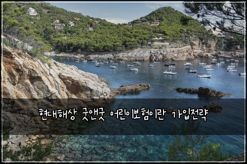 현대해상 굿앤굿 어린이보험이란 가입전략