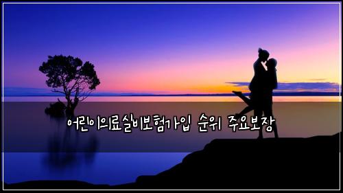 어린이의료실비보험가입 순위 주요보장