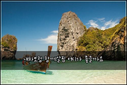 내차보험 함께살핌  어디가 좋을까요
