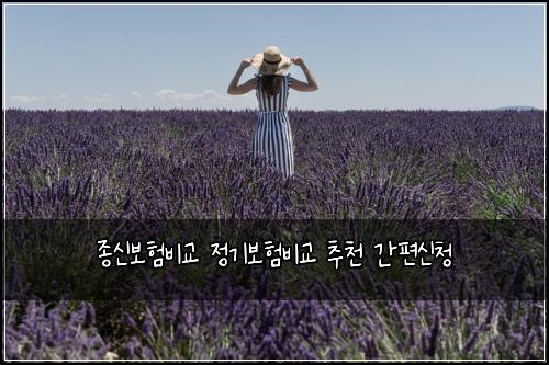 종신보험비교 정기보험비교 추천 간편신청