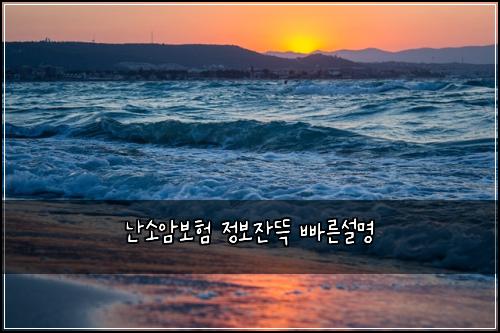 ๋์์๋ณดํ ์ ๋ณด์๋ฉ ๋น ๋ฅธ์ค๋ช