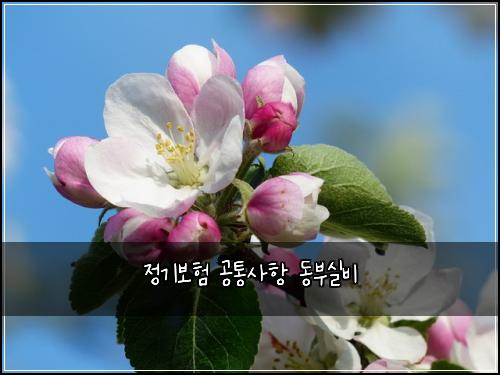 ์ ๊ธฐ๋ณดํ ๊ณตํต์ฌํญ ๋๋ถ์ค๋น