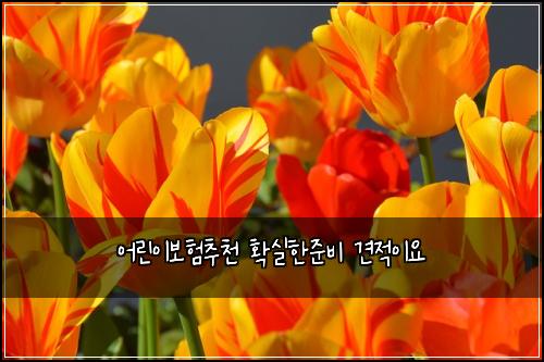 ์ด๋ฆฐ์ด๋ณดํ์ถ์ฒ ํ์คํ์ค๋น ๊ฒฌ์ ์ด์
