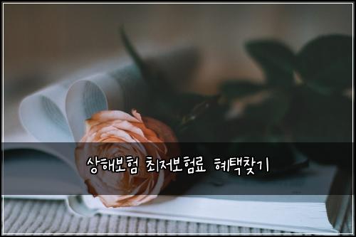 상해보험 최저보험료 혜택찾기