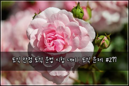 토익 만점 토익 문법 시험 대비 : 토익 문제 #277