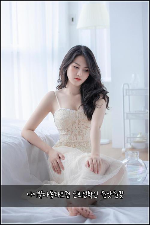 나이별자동차보험 신뢰성확인  원샷원킬