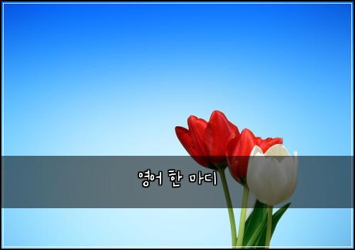 영어 한 마디