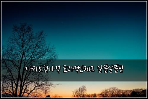 ์์ฐจ๋ณดํ๊ฐ๊ฒฉ ํจ๊ณผ์ ์ธ์ฒดํฌ ์๋ฐ์ด๋ฐํ