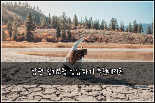 남편 정기보험 상담하기  추천메리츠