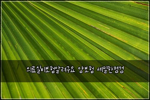 ์๋ฃ์ค๋น๋ณดํ์๋ ค๊ตฌ์ ์๋ณดํ ์ธ๋ฐํ์ ๊ฒ
