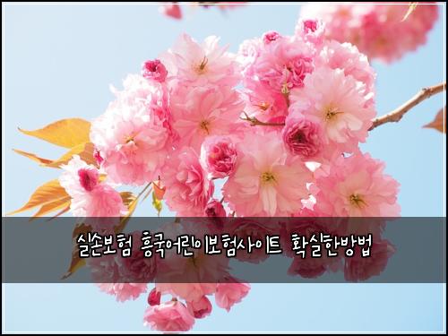 실손보험 흥국어린이보험사이트 확실한방법