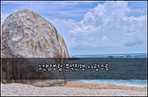 노인암보험 분석진행  사랑으로