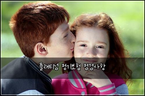 플래티넘 정기보험 점검사항 