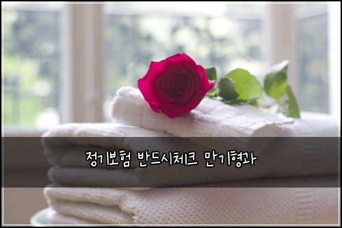 정기보험 반드시체크  만기형과