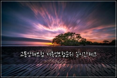 ๊ตํต์ํด๋ณดํ ์ ์ถ์ฑ๋ณดํ์์ ์ค์๊ฐ์ฒดํฌ