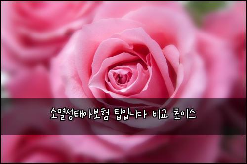 ์๋ฉธ์ฑํ์๋ณดํ ํ์
๋๋ค ๋น๊ต ์ด์ด์ค