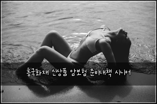 흥국화재 신상품 암보험 준비대책  시니어