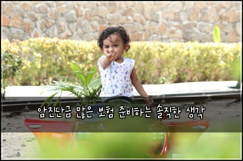 암진단금 많은 보험 준비하는 솔직한 생각