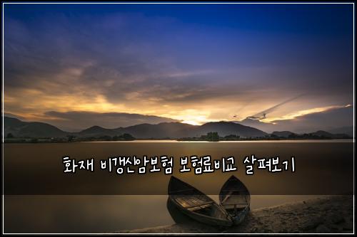 화재 비갱신암보험 보험료비교  살펴보기