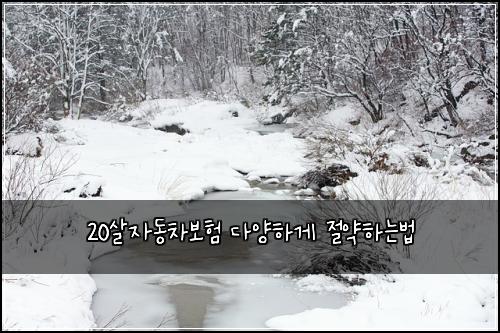 20살자동차보험 다양하게  절약하는법