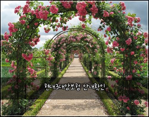 ํ๋3๋์๋ณดํ ์๋ดํ์ธ