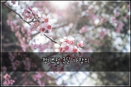 정기보험 굿딜  가장의