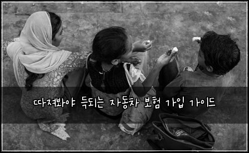 따져봐야 득되는 자동차 보험 가입 가이드