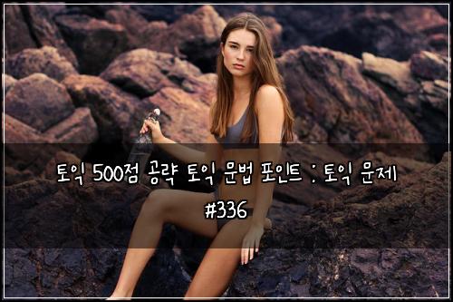 ํ ์ต 500์ ๊ณต๋ต ํ ์ต ๋ฌธ๋ฒ ํฌ์ธํธ : ํ ์ต ๋ฌธ์ #336