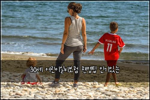 30์ธ ์ด๋ฆฐ์ด์ค๋น๋ณดํ ํ๋ช
ํ ์ธ๊ธฐ์๋