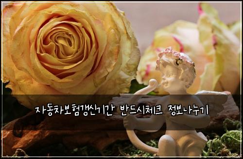 자동차보험갱신기간 반드시체크 정보나누기