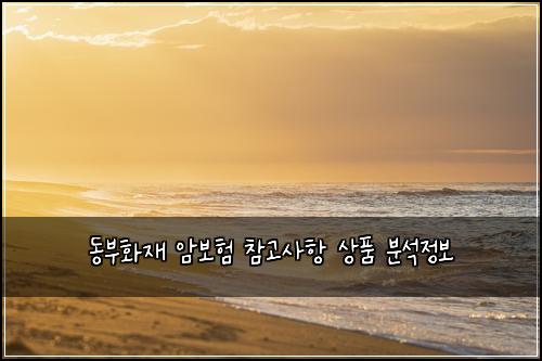 동부화재 암보험 참고사항  상품 분석정보