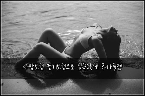 사망보험 정기보험으로 실속있게 추가플랜