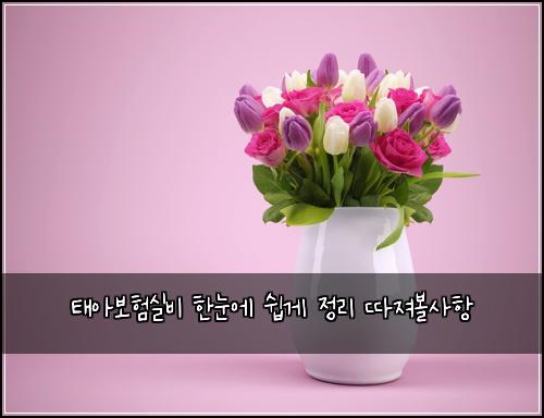 태아보험실비 한눈에 쉽게 정리 따져볼사항