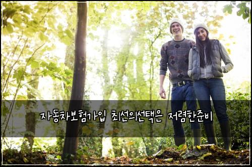 ์๋์ฐจ๋ณดํ๊ฐ์
์ต์ ์์ ํ์ ์ ๋ ดํ์ค๋น