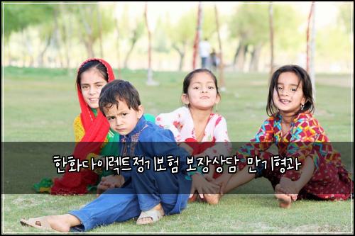 한화다이렉트정기보험 보장상담  만기형과