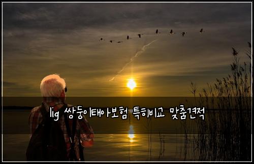 lig 쌍둥이태아보험 특히비교  맞춤견적