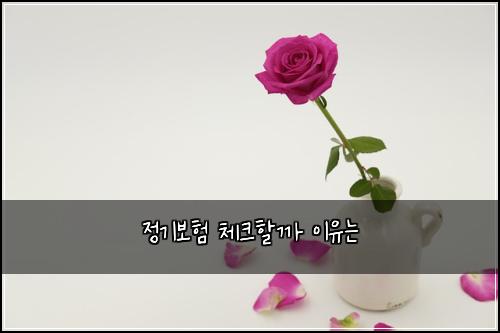 ์ ๊ธฐ๋ณดํ ์ฒดํฌํ ๊น ์ด์ ๋