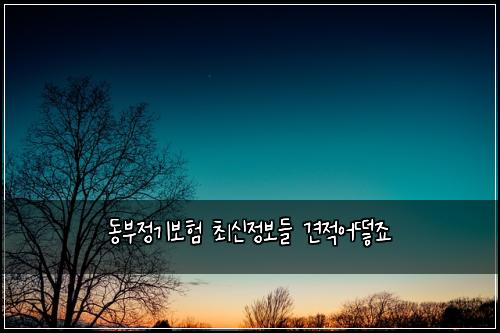๋๋ถ์ ๊ธฐ๋ณดํ ์ต์ ์ ๋ณด๋ค ๊ฒฌ์ ์ด๋ป์ฃ